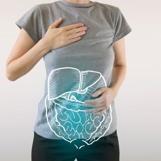 Helps improve digestion and metabolism